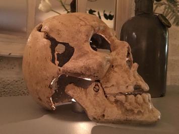 1 grote anatomische schedel, uit gietijzer-white-rust